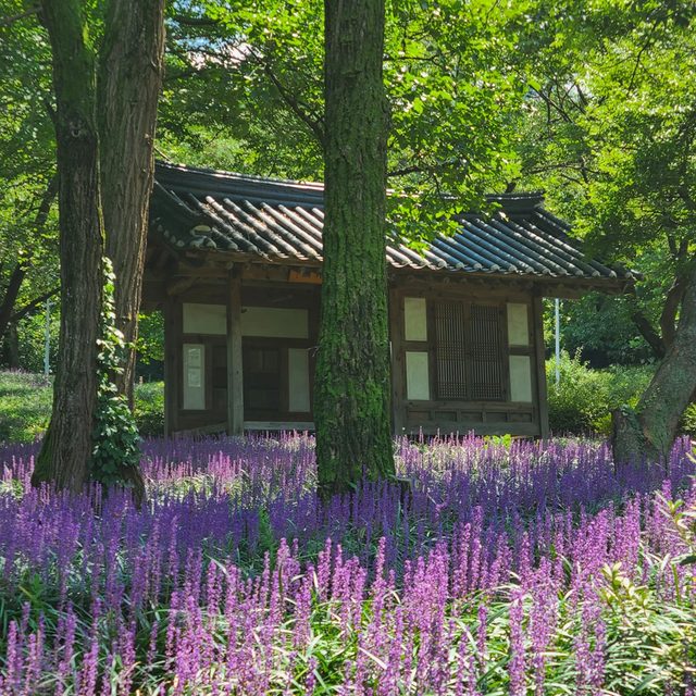 보스맘