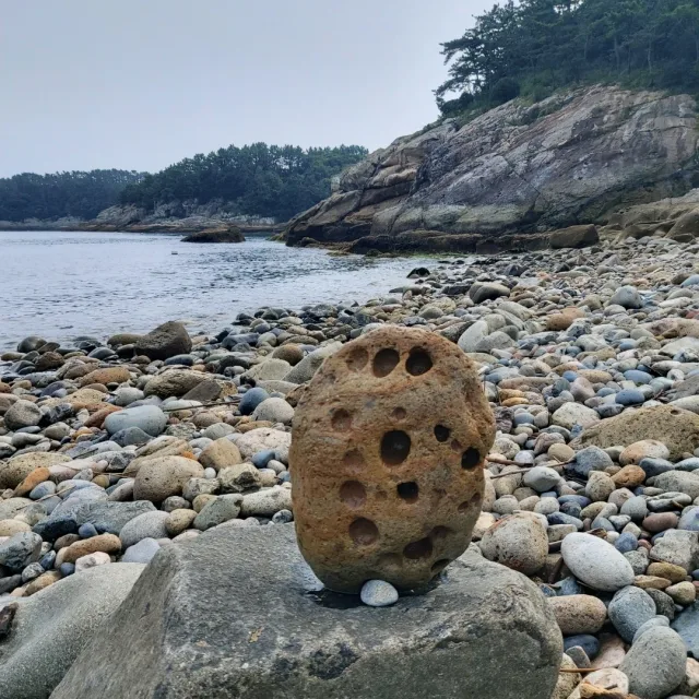 써니황