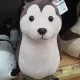 파파