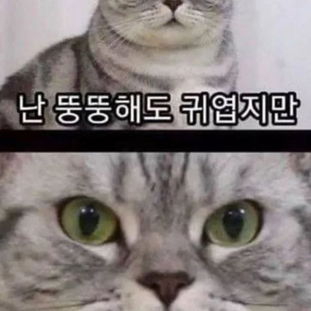 hoooooooo