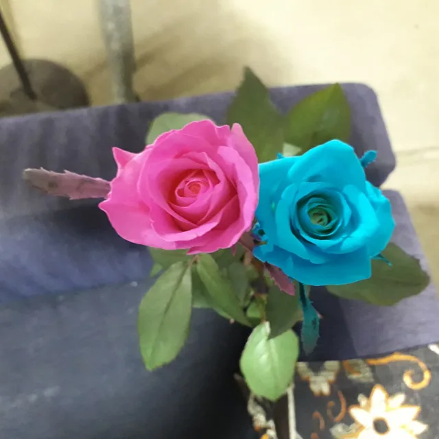 주바라기