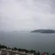 토니