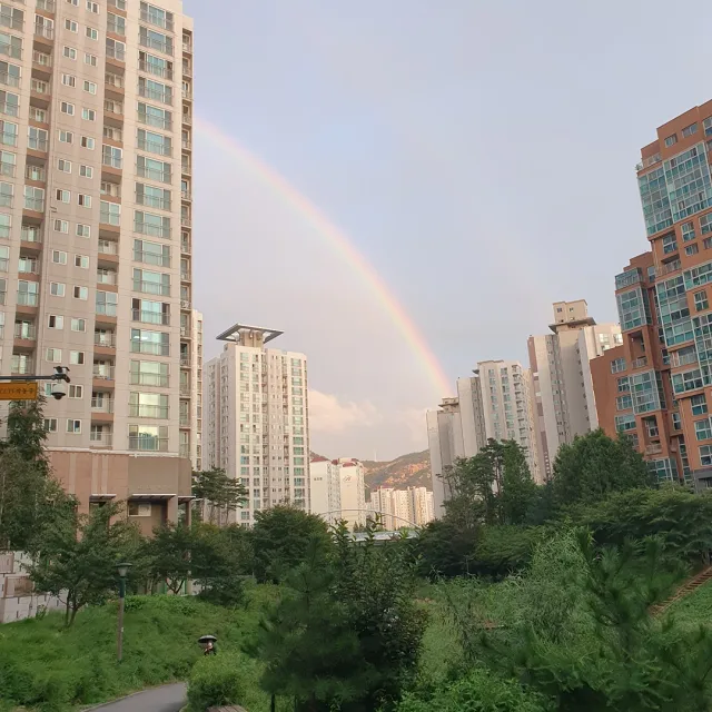 셀던