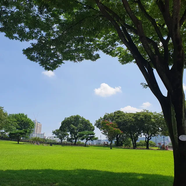 빈이네