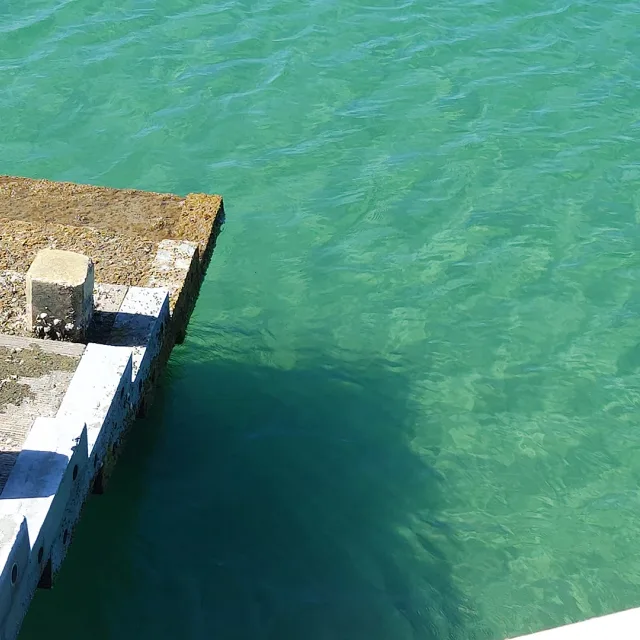 브루스
