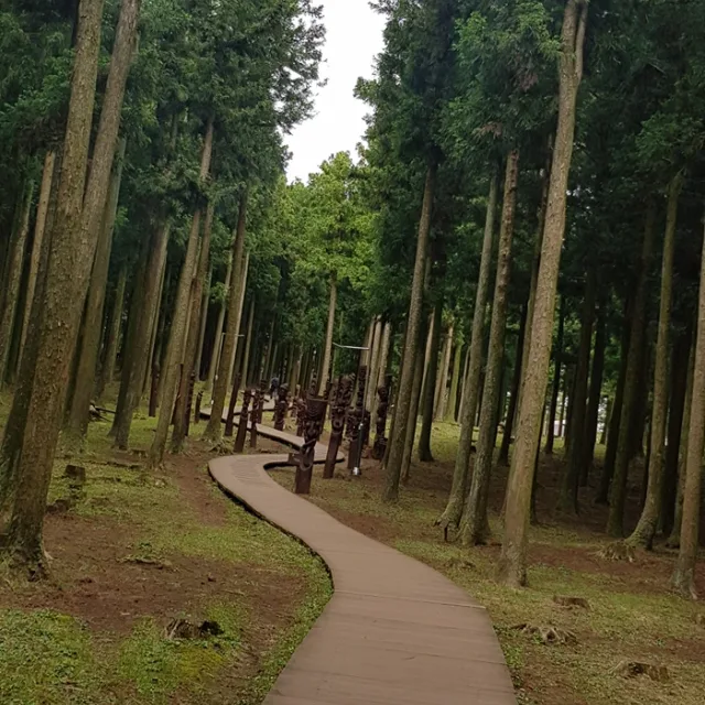 홍당무