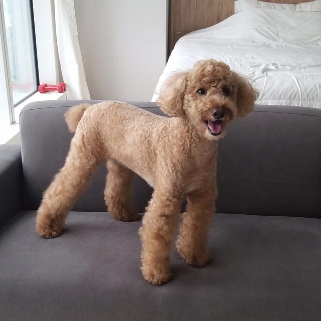 제이슨본