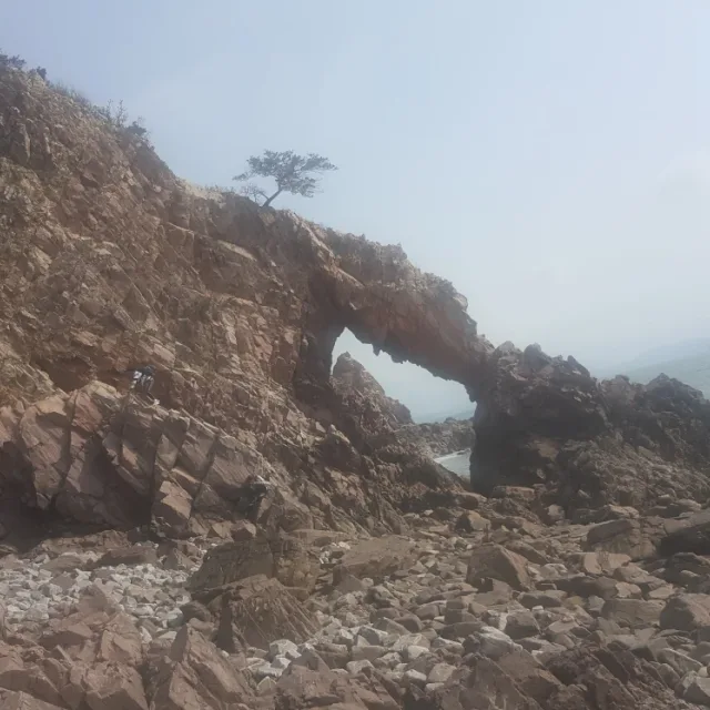 수비