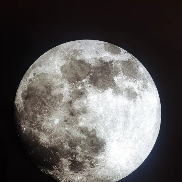 종달새