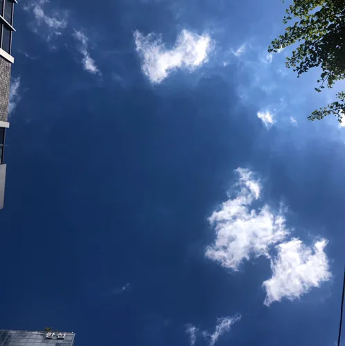 브리아나