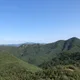 안삽니다