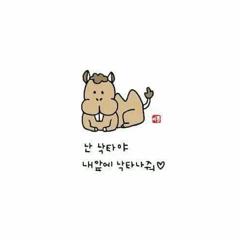 오복이맘