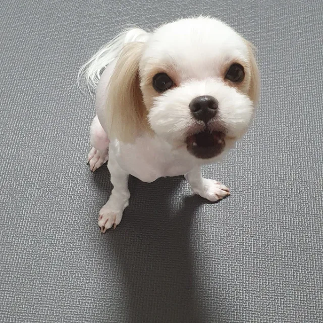 서리