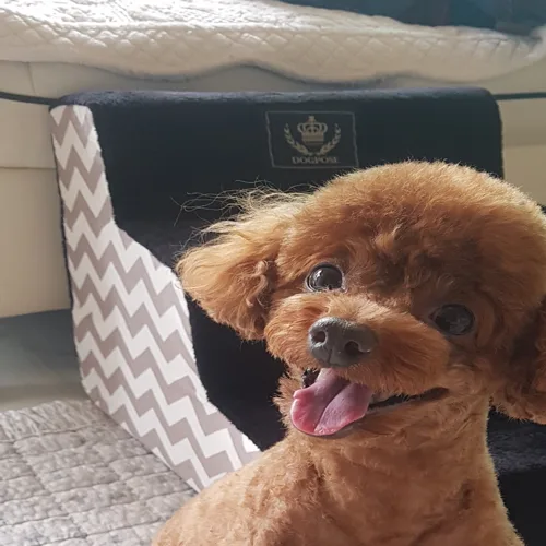 유은천