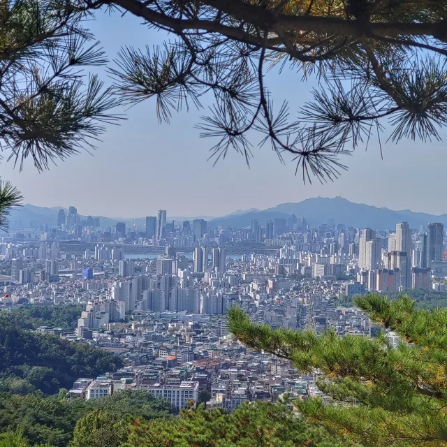 민기