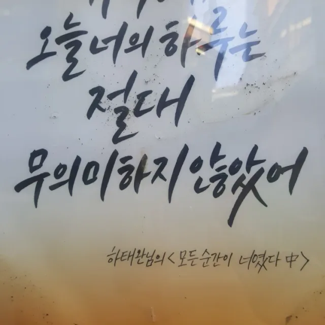 미루나무