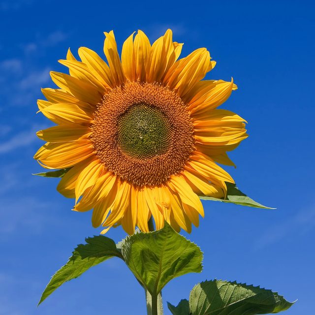 1202