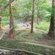 dropark