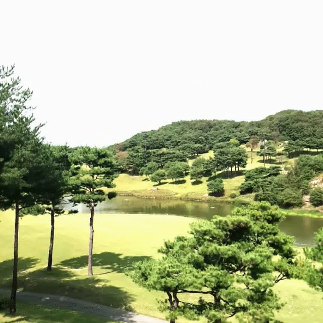띵똥땡벼루마마