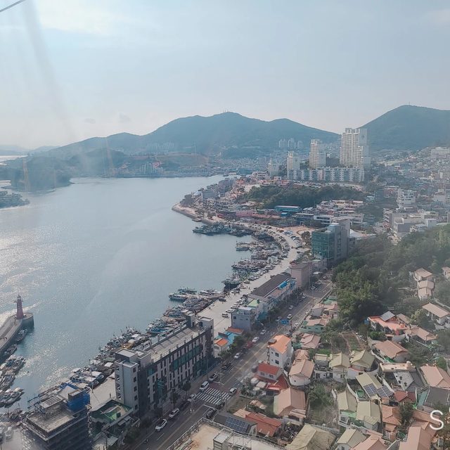 프리스틴의원