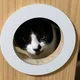 랑이