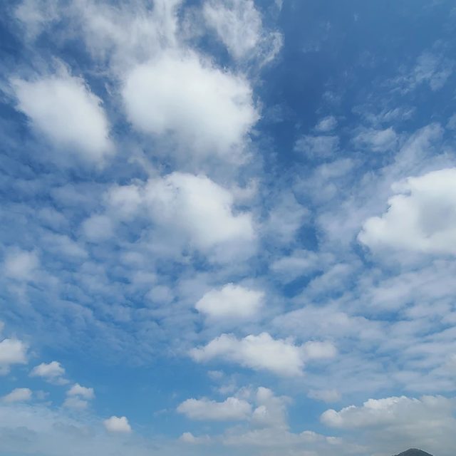 리뷰 프로필 이미지