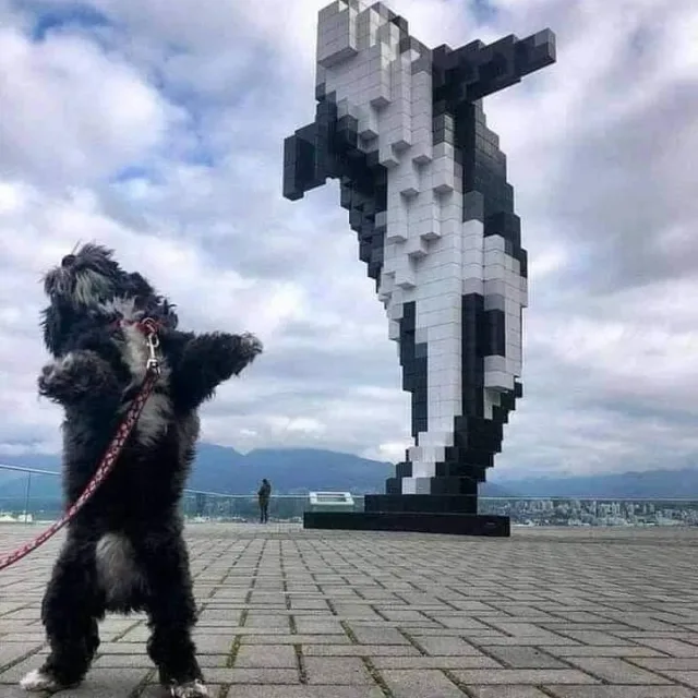 붕어빵