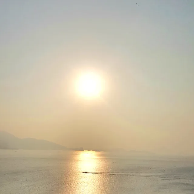 보라색