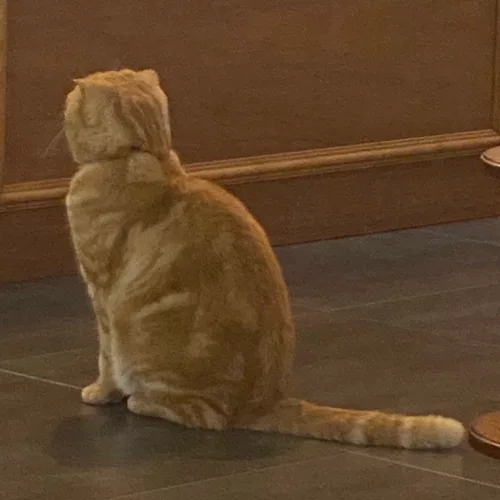 매너지켜주세요