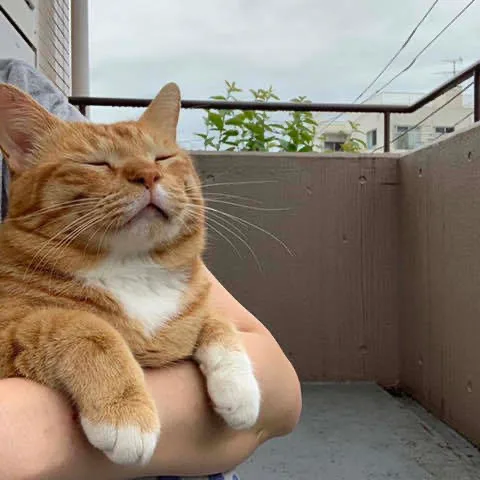 놀자