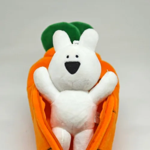 토깽이