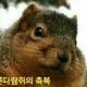 다람쥐