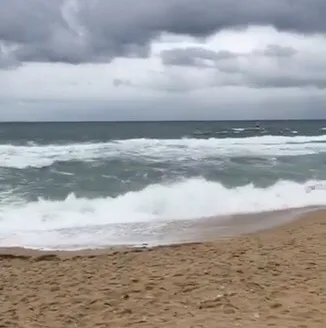 복수동입니다