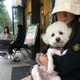기정이네