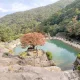 몽클이