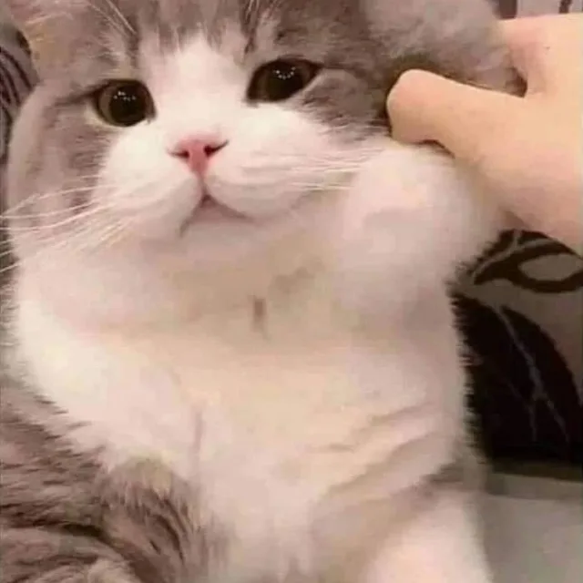 온유