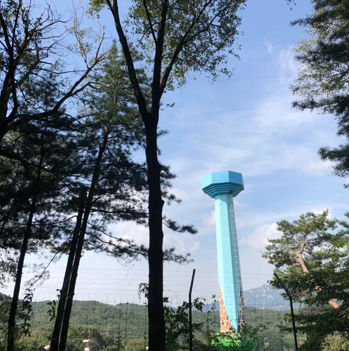매실
