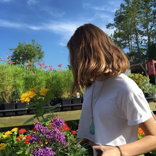 lily