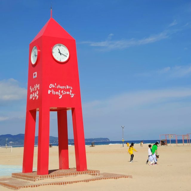 미더덕