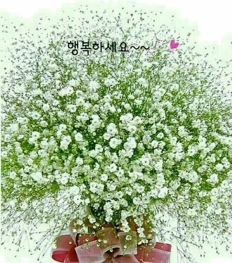 코코스