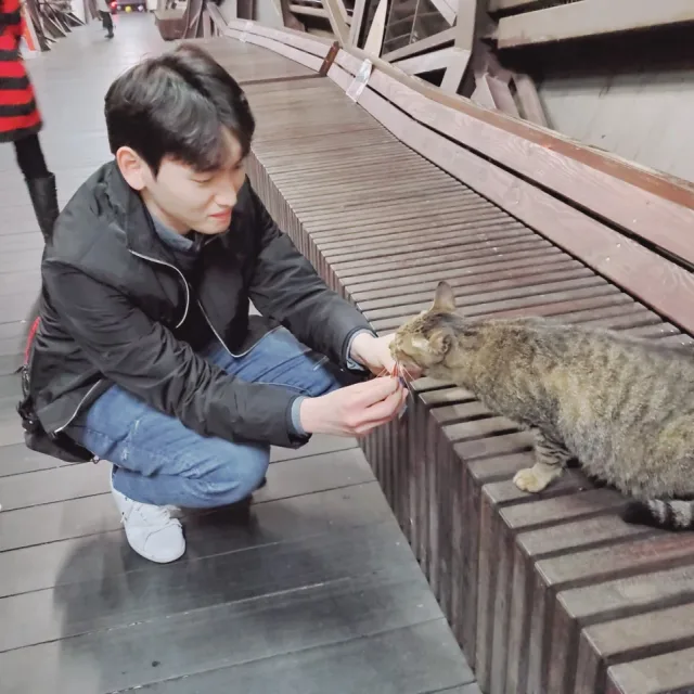 김형섭