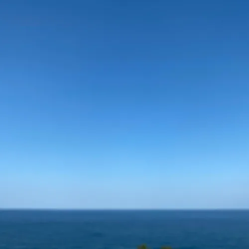 영심동생순심