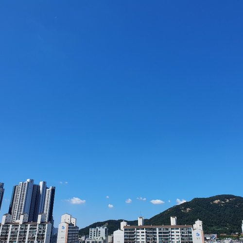박홀릭