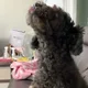 쿨거래
