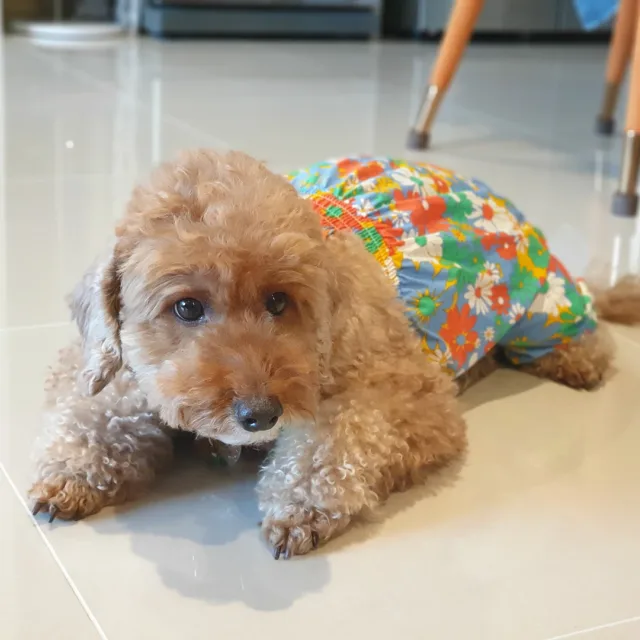 옥수네