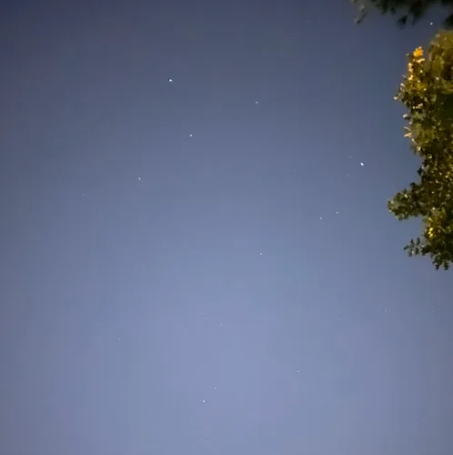 밍밍