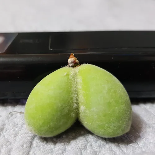 물통이
