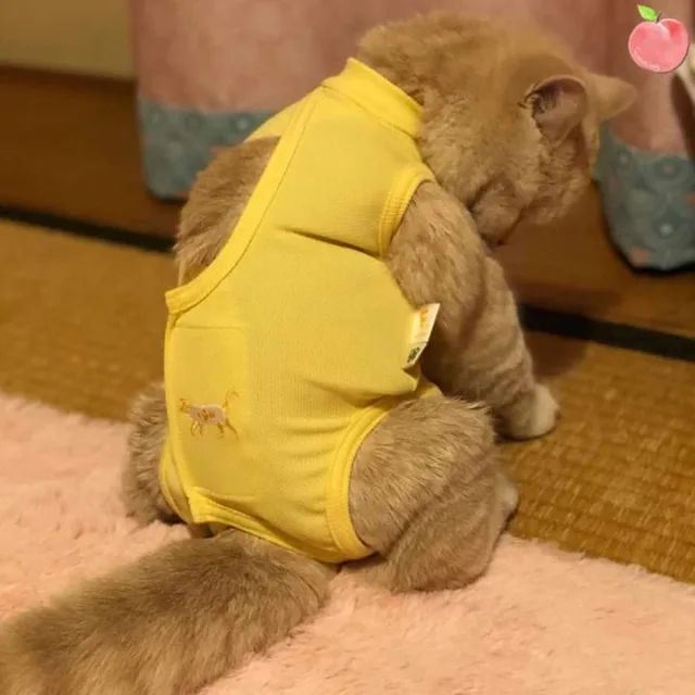 셀린