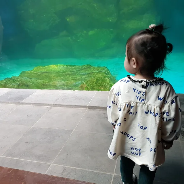 몽글