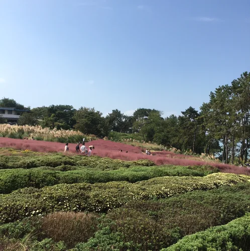 조조